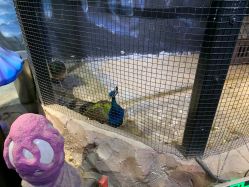 -酷嗒动物文化乐园(cutezoo西溪乐天城店)