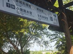 -白洋淀景区