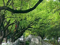 -安亭老街
