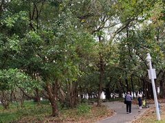 -深圳湾公园(南山区)