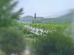 -青龙山国家森林公园