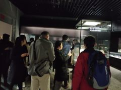 -上海观复博物馆
