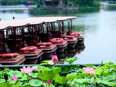 -后海公园