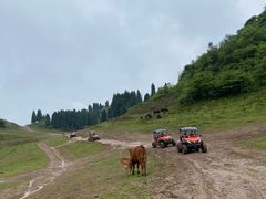 -武陵山森林公园