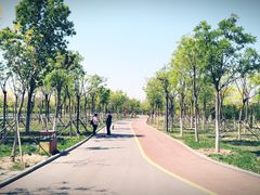 -天津东丽湖风景区