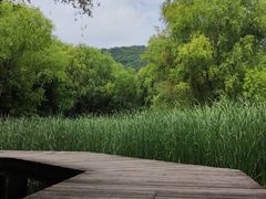-宝界山林公园