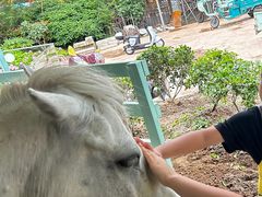 -杭州开元森泊度假乐园