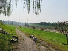 -洨河生态公园