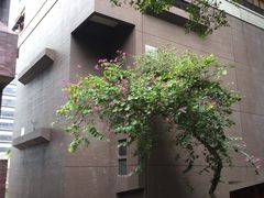 -香港大学