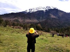 -硗碛藏寨·神木垒景区