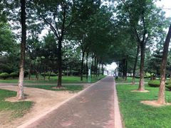 -日照灯塔风景区