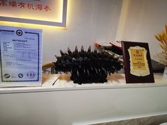 -宫品海参(双井店)