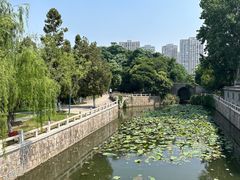-水绘园