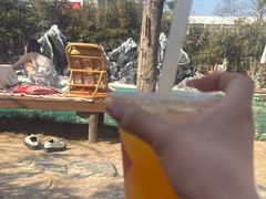 -HERRE·FARM 赫尔露营农场·团建聚会包场