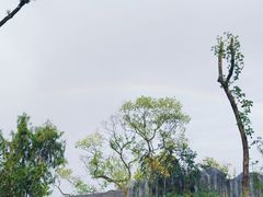 -武汉动物园