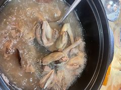 土茯苓鸽子汤-一煲鸽