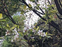 -COMMUNE幻师(花园道店)