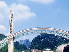 -南山植物园