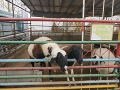 -南宫五洲植物乐园