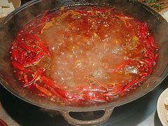 -阳阳老火锅(小南门店)