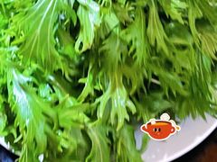 -银同牦牛肉火锅