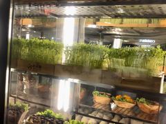 自助取餐区-大头椰·椰子鸡火锅(南宁万象城店)