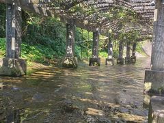 -花溪风景区