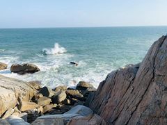-广东惠东海龟国家级自然保护区