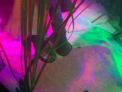 -沈阳海洋探索中心