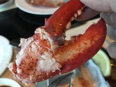 -澳门旅游塔360°旋转餐厅(南湾湖广场店)