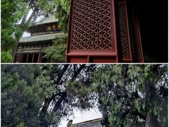 -报恩寺(平武县)