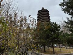 -玲珑塔公园
