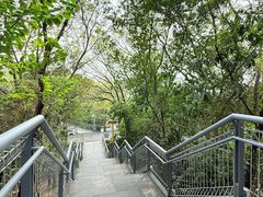 -佛山华盖山公园