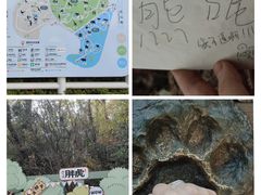 -红山森林动物园