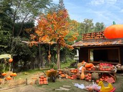 -HERRE·FARM 赫尔露营农场·团建聚会包场