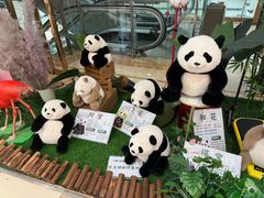 -伊藤洋华堂(高新店)