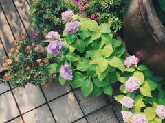 门面-默迹咖啡馆