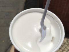 -洪馨椰子