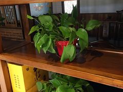 -老诚一锅羊蝎子(天通苑东三区直营店)