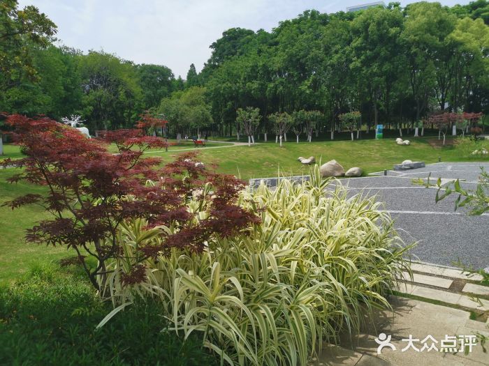 后襄河公园图片