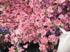 聊斋-厦门方特梦幻王国