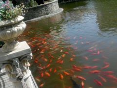 -月亮河温泉度假酒店