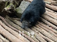 -普洱太阳河森林公园