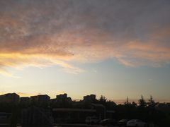 -山东外贸职业学院