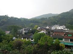 -龙井村