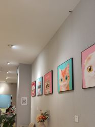 -洗脸猫·洗脸吧