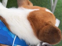 -UNI UNI(环亚凯瑟琳店)