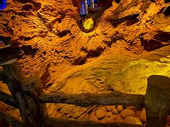 -乐山乌木文化博览苑