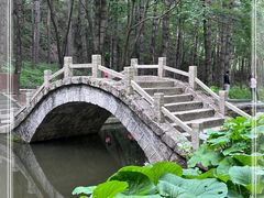 -洛阳白云山景区