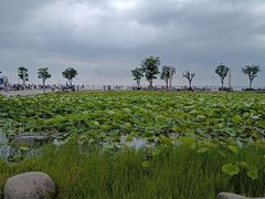 -滆湖低碳生态公园